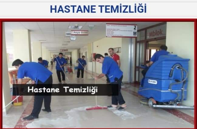 Mar İlaçlama Temizlik